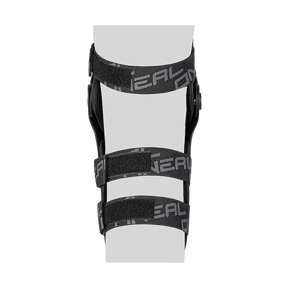 0256-206_back.png