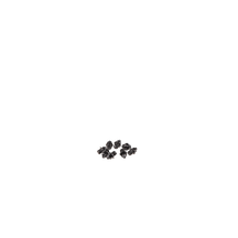 Eine Ansammlung von AZONIC Stahl-C-Pins schwarz, klein und klar, dicht aneinandergereiht vor schwarzem Hintergrund.