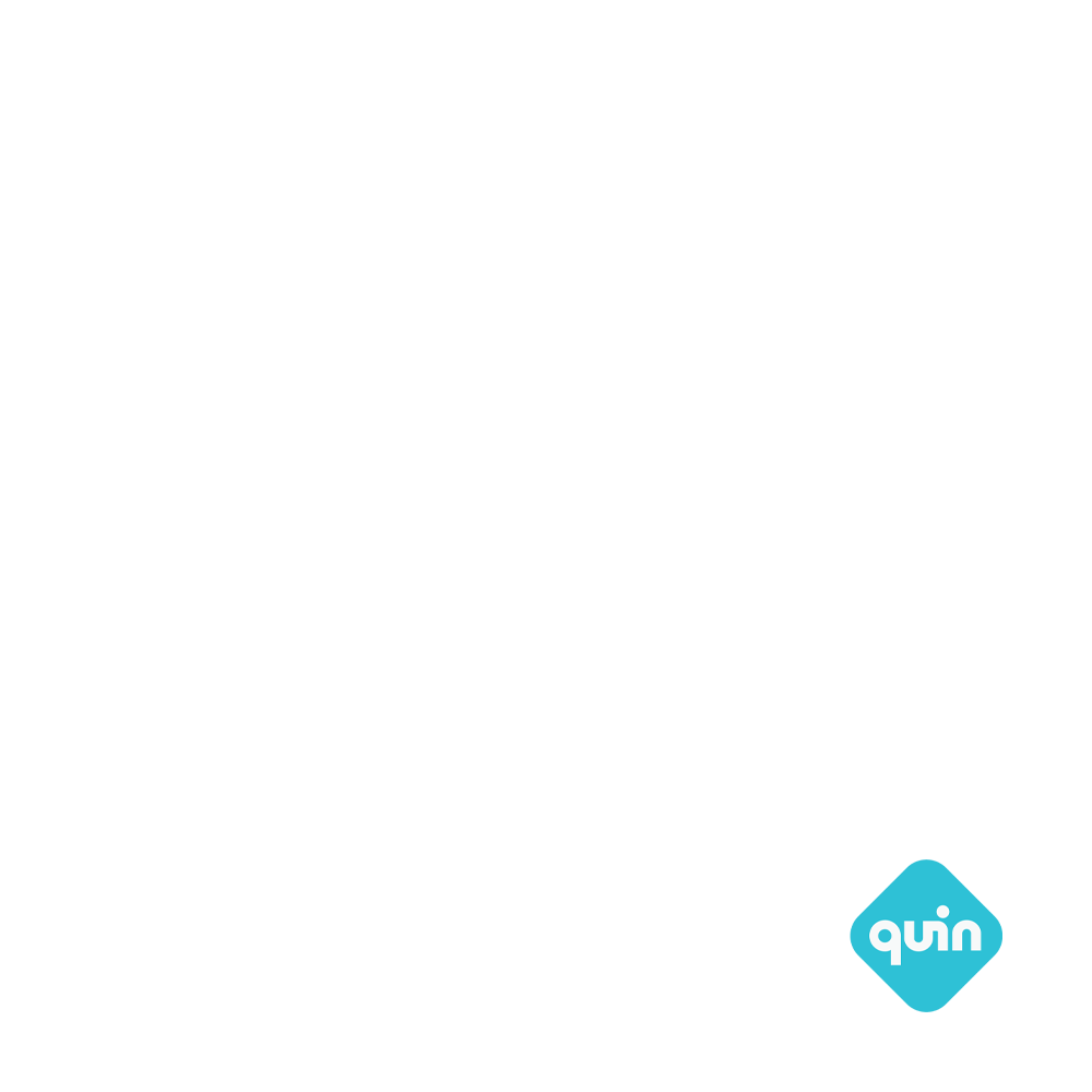 QUIN_Logo.png