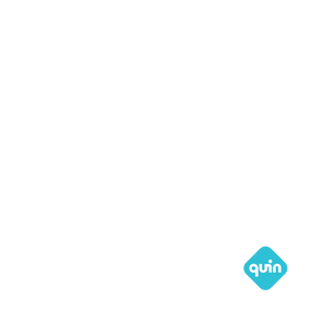 QUIN_Logo.png